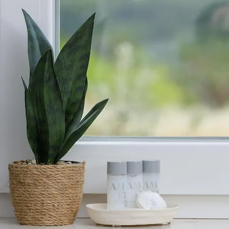 Apartman Azure Pine Trogir