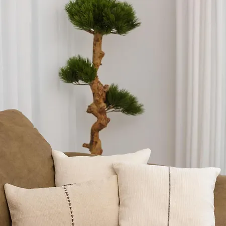 Azure Pine Apartman *